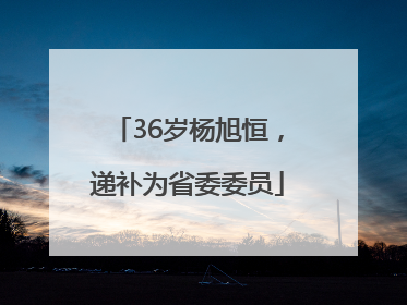 36岁杨旭恒，递补为省委委员