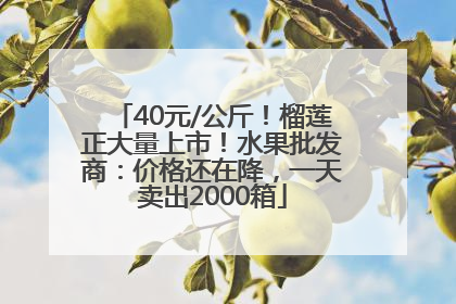 40元/公斤！榴莲正大量上市！水果批发商：价格还在降，一天卖出2000箱