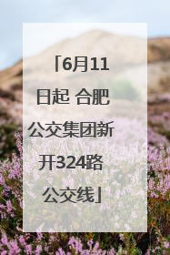 6月11日起 合肥公交集团新开324路公交线