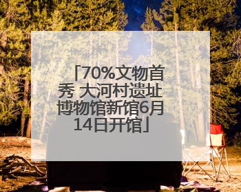 70%文物首秀 大河村遗址博物馆新馆6月14日开馆