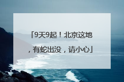 9天9起！北京这地，有蛇出没，请小心