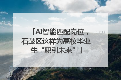 AI智能匹配岗位，石鼓区这样为高校毕业生“职引未来”