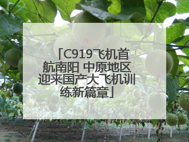 C919飞机首航南阳 中原地区迎来国产大飞机训练新篇章