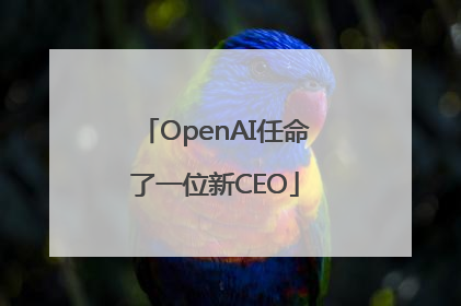 OpenAI任命了一位新CEO
