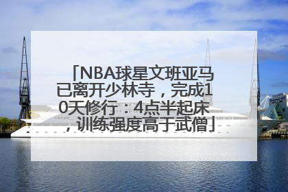 NBA球星文班亚马已离开少林寺，完成10天修行：4点半起床，训练强度高于武僧