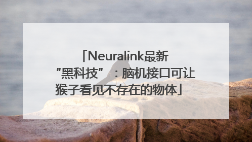 Neuralink最新“黑科技”：脑机接口可让猴子看见不存在的物体