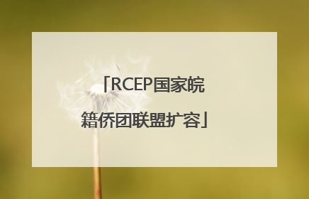 RCEP国家皖籍侨团联盟扩容