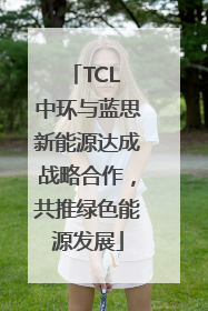 TCL 中环与蓝思新能源达成战略合作，共推绿色能源发展